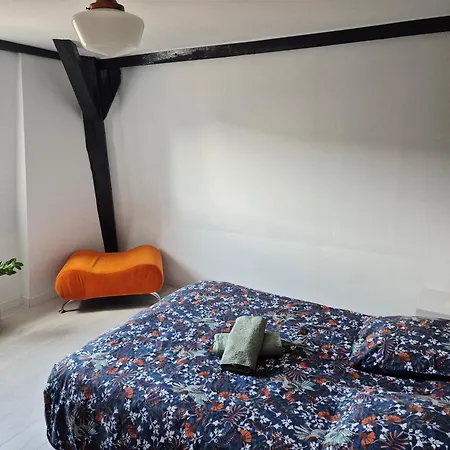 Le Toit Des Vosges Demeure Historique Neuf Et Climatise * Remiremont