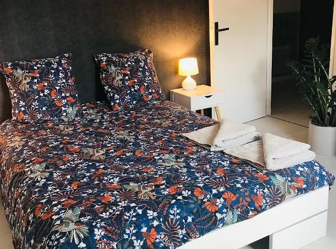 Le Toit Des Vosges Demeure Historique Neuf Et Climatise Apartmán Remiremont