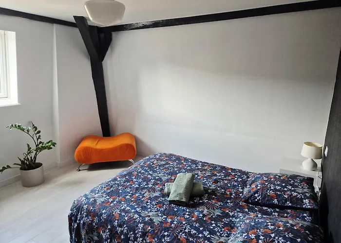 Le Toit Des Vosges Demeure Historique Neuf Et Climatise * Remiremont